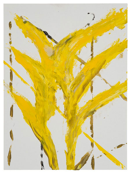 Fire ( Peter Mandradjieff )